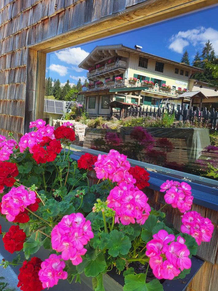Gîte pour 3 personnes, avec sauna et jardin, adapté aux familles à Hochfilzen - 2