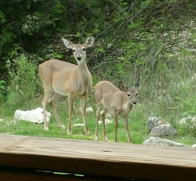 Superb Luxury Lodge - Blick auf die Berge und das Tal, privat, im Herzen von Concan in Concan, Uvalde County
