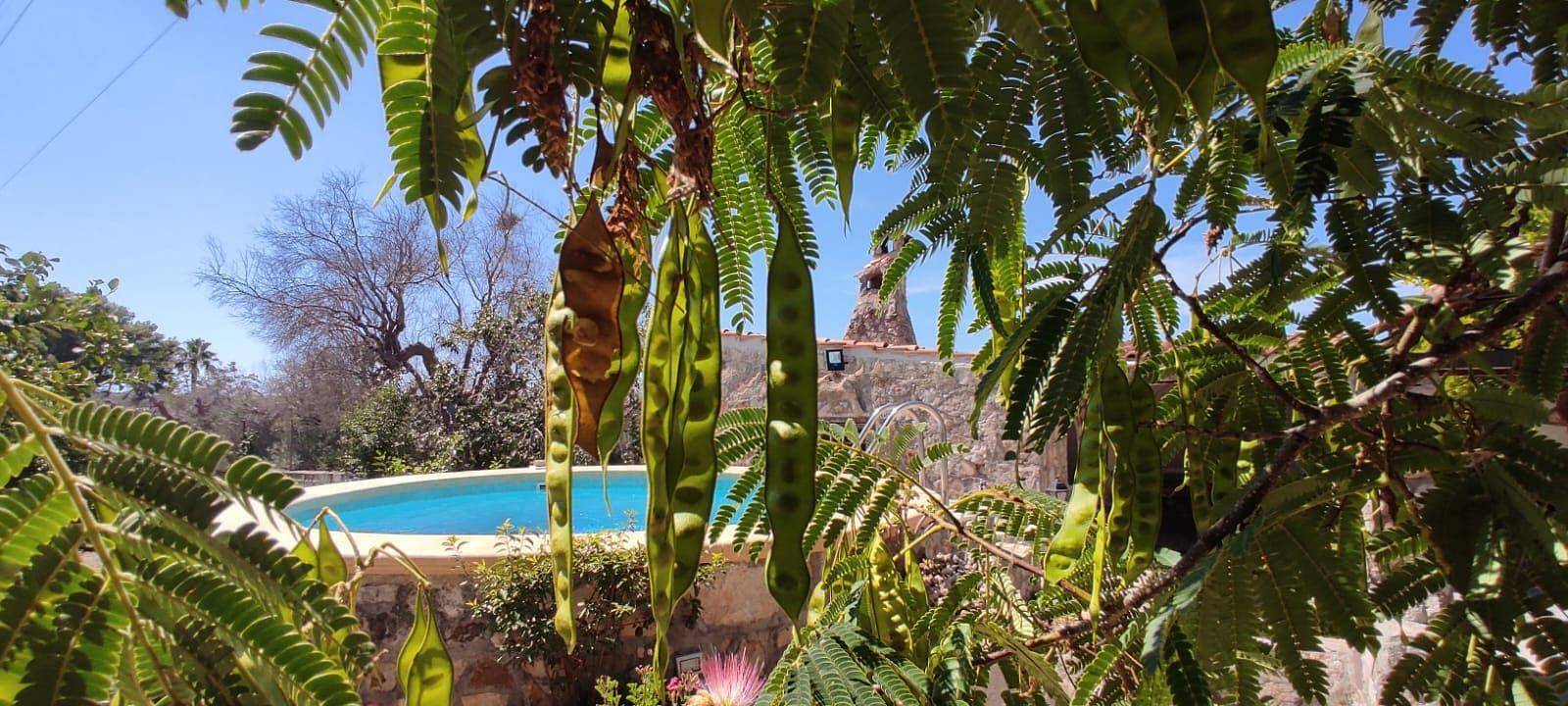 Villa Barone Landhaus mit Pool in Casarano, Golf von Tarent