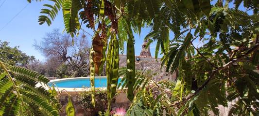 Casa Vacanza per 5 Persone in Casarano, Golfo di Taranto, Foto 3