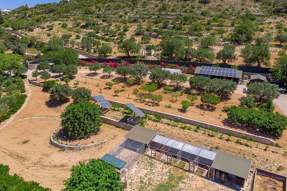 Impresionante casa de 3 dormitorios en suite en finca con piscina in Faro (Portugal), Distrito de Faro