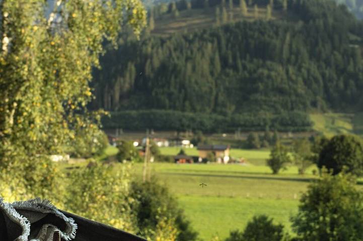 Ferienwohnung für 4 Personen in Saalbach-Hinterglemm-Leogang