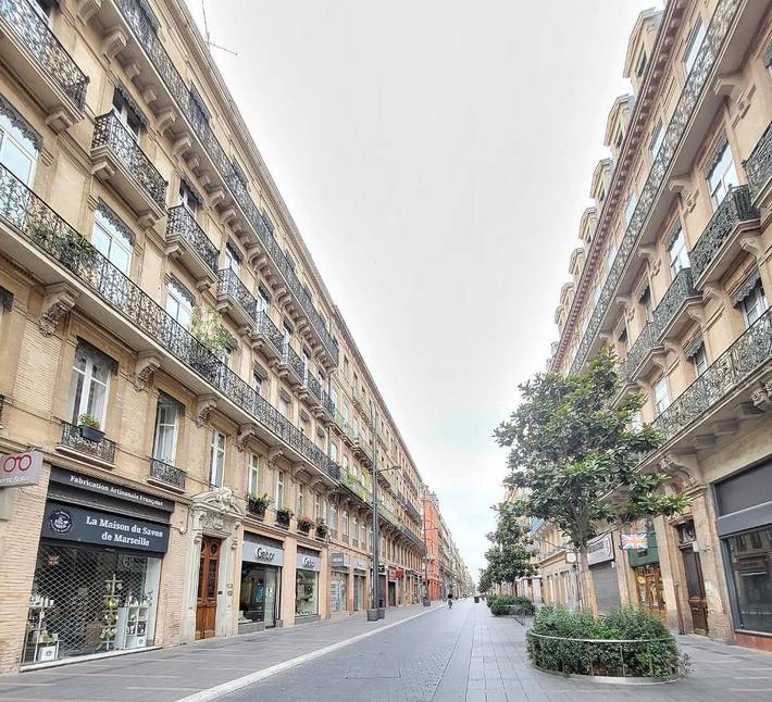 Gîte pour 8 personnes, avec balcon et vue dans Office De Tourisme De Toulouse - 3