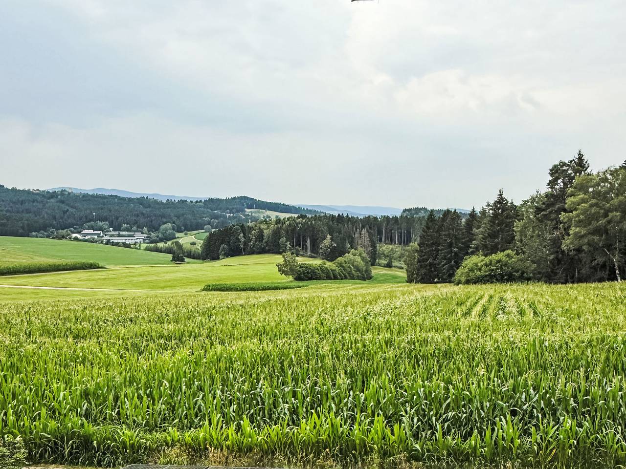Apartamento entero, Rachel mit herrlichem Ausblick in Rinchnach, Baviera Oriental