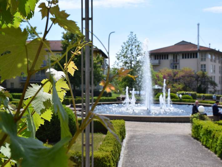 Hotel für 4 Personen, mit Garten, kinderfreundlich in Radebeul - 3