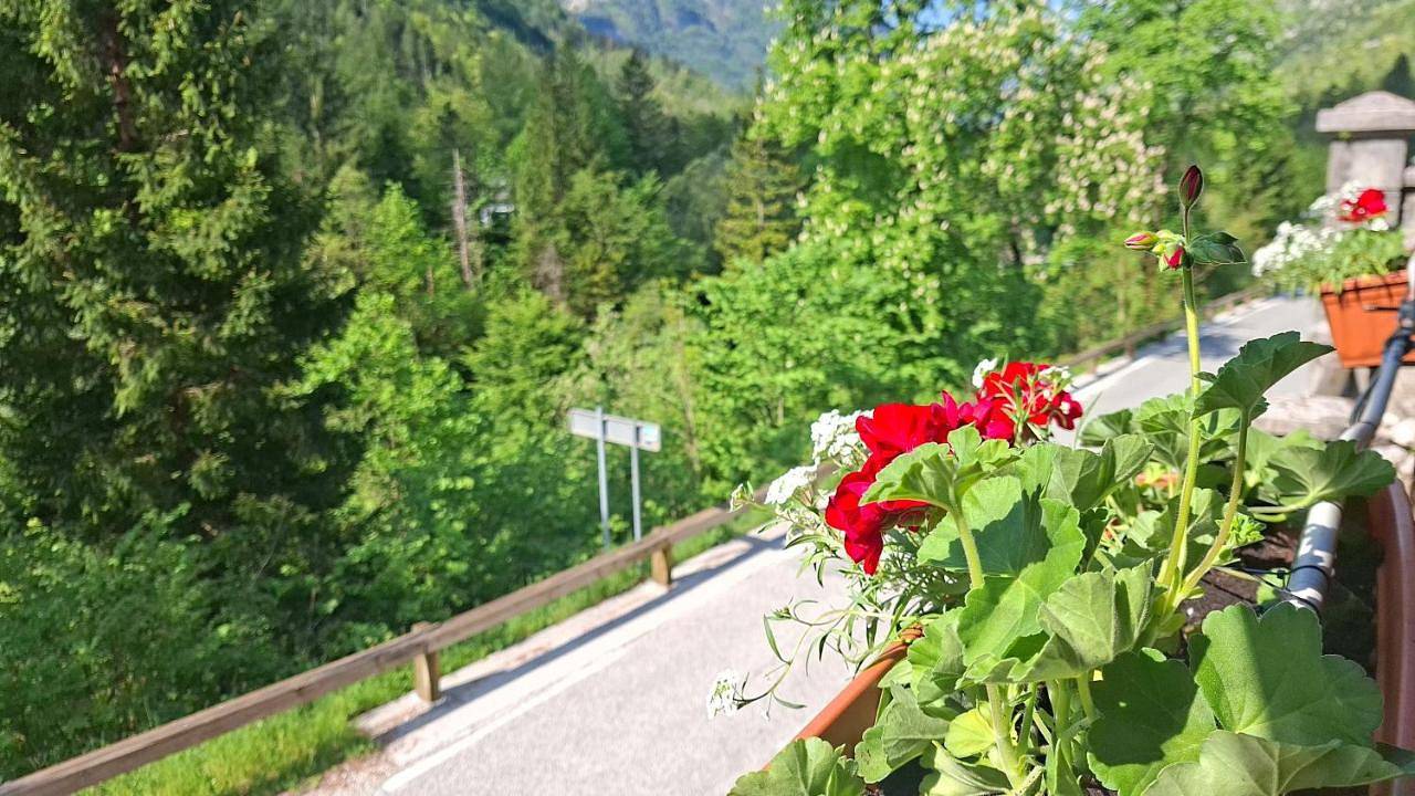 Gostišče Andrejc in Bovec, Triglav Nationalpark
