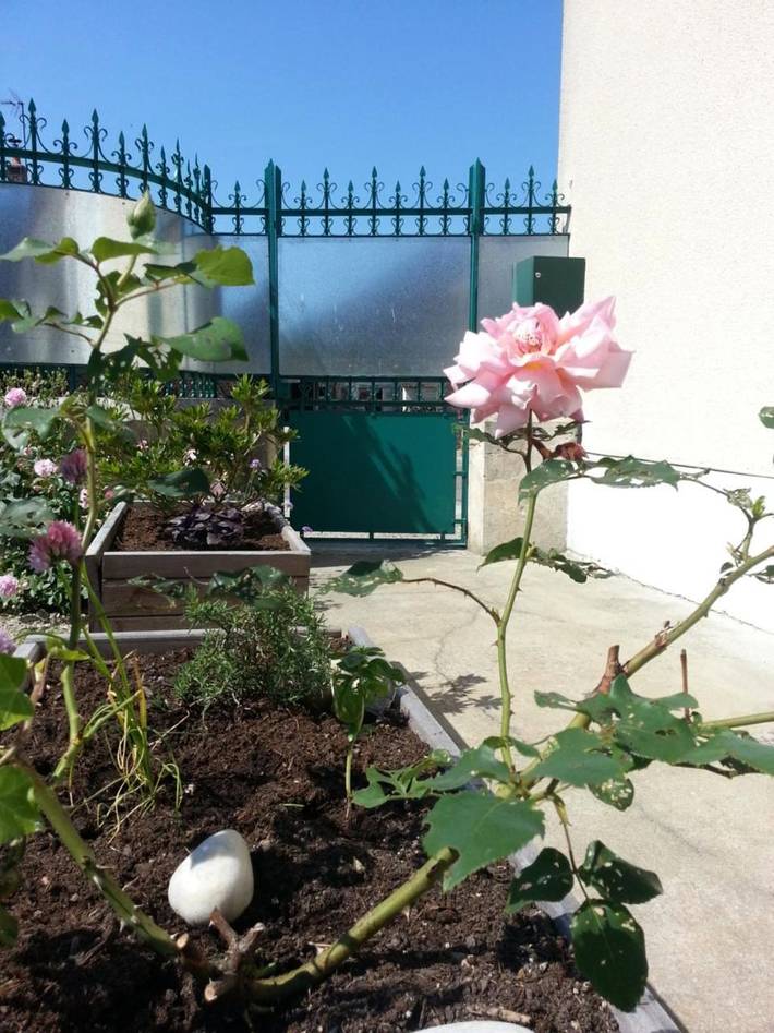 Location de vacances pour 2 personnes, avec Terrasse ainsi que Jardin et Vue à Villechétif