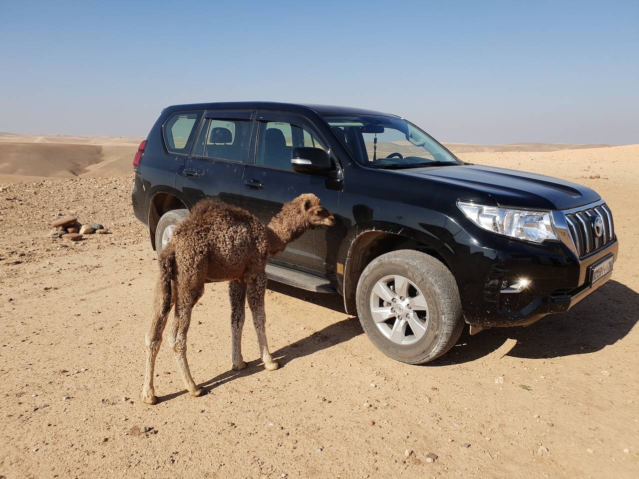 Caidal tent at Nkhila Lodge, Agafay Desert Camp in Province Al Haouz
