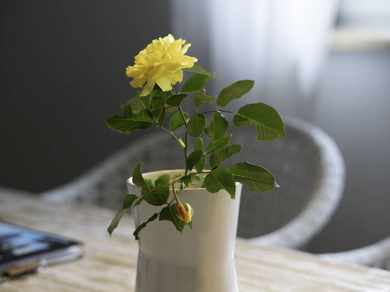 Willa Sonia in Zawoja, Karpaten (Polen)