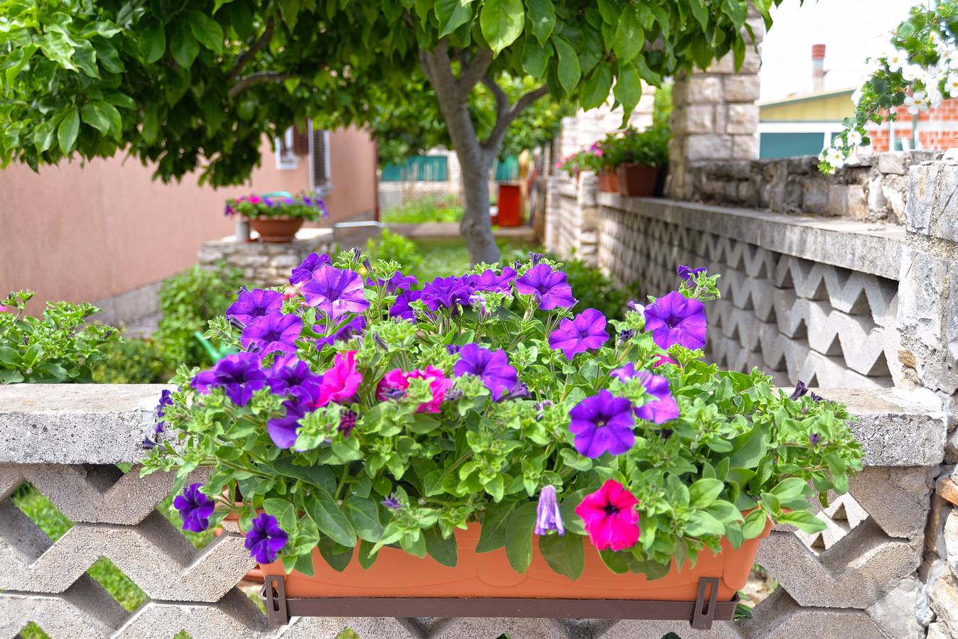 Cały apartament, Apartament wakacyjny dla 2 osób z balkon in Novigrad, Umag i okolice