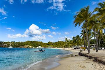 Location De Vacances pour 6 Personnes dans Sainte-Anne, Antilles, Photo 4