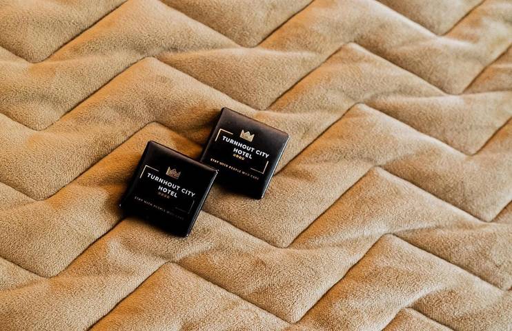 Hôtel pour 2 personnes, avec terrasse, animaux acceptés à Turnhout - 4