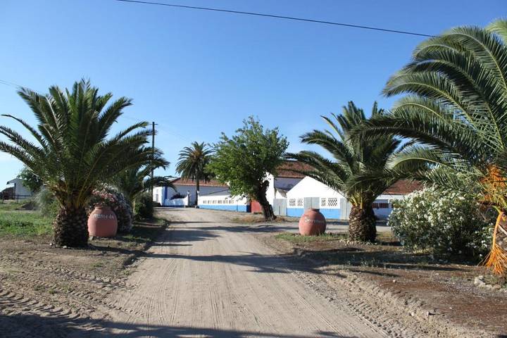 Gîte pour 6 personnes, avec vue et vue sur le lac ainsi que jardin et piscine à Évora - 3