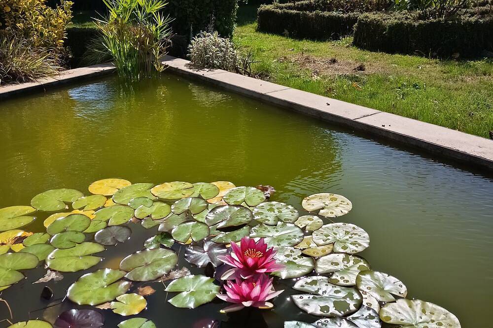 Maison Mitoyenne, Entrée Indépendante, Dans un Grand Jardin, in Moëlan-sur-Mer, Côte de Cornouaille