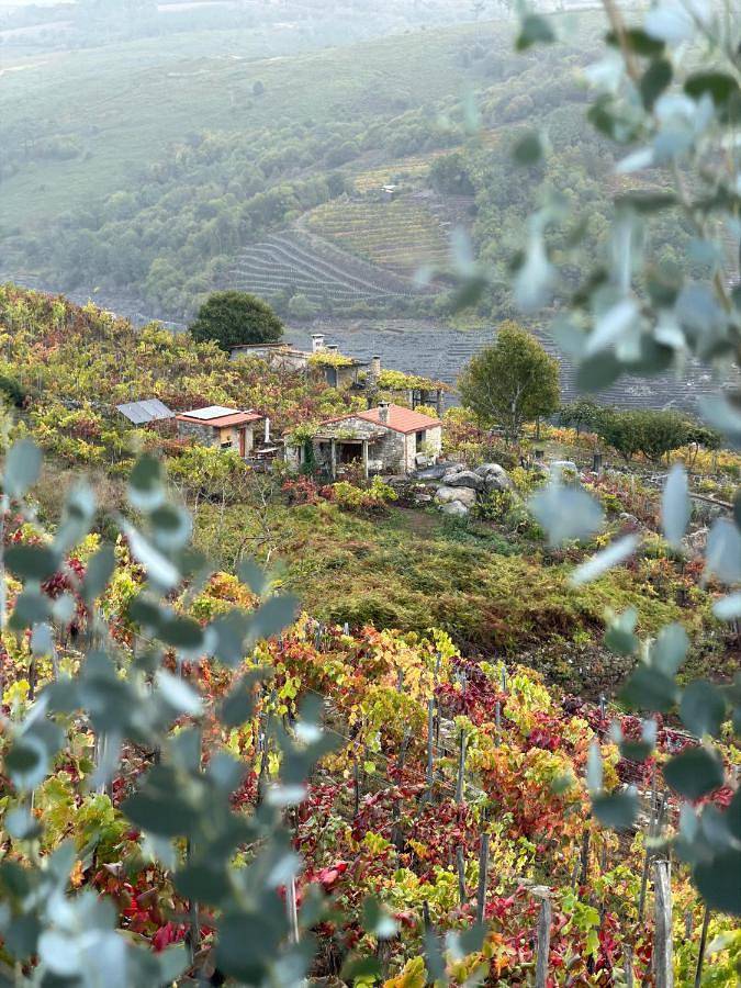 Casa de vacaciones para 2 personas, con vistas además de vistas al lago y jardín, Se admiten mascotas - 1