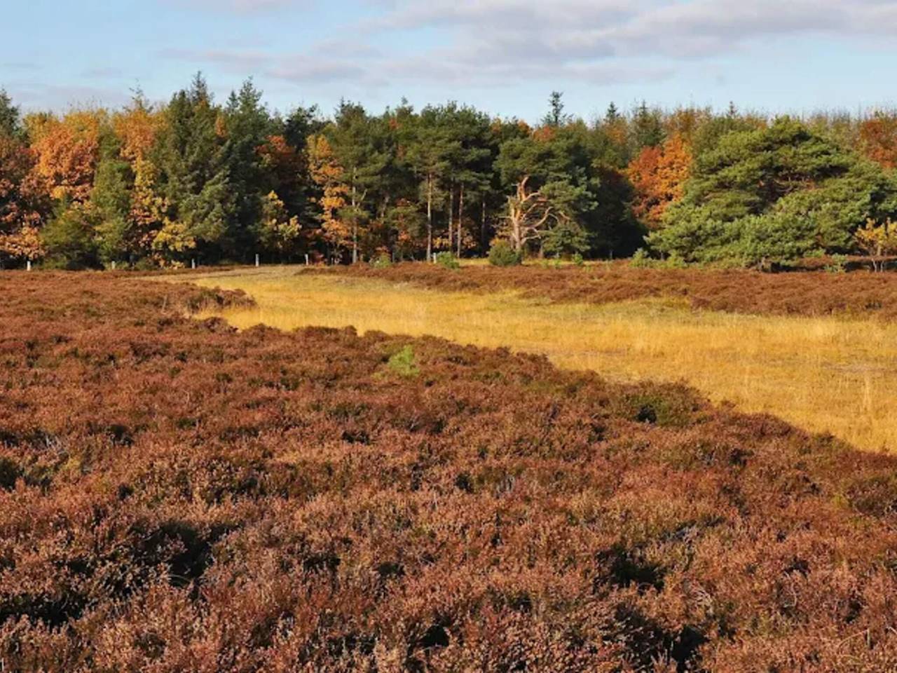 4 Sterne Ferienhaus in Bogense in Bogense, Kleiner Belt