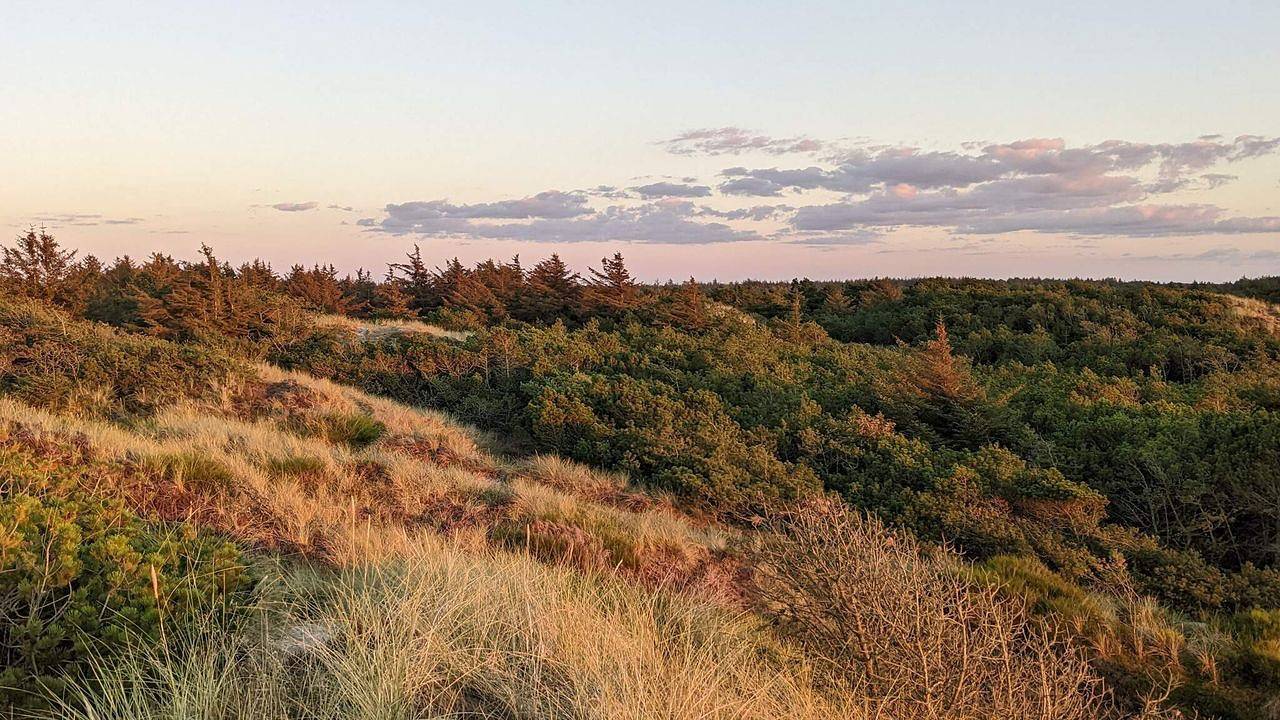 Ferienhaus für 5 Personen (68 m²) in Vejers Strand in Vejers Strand, Varde