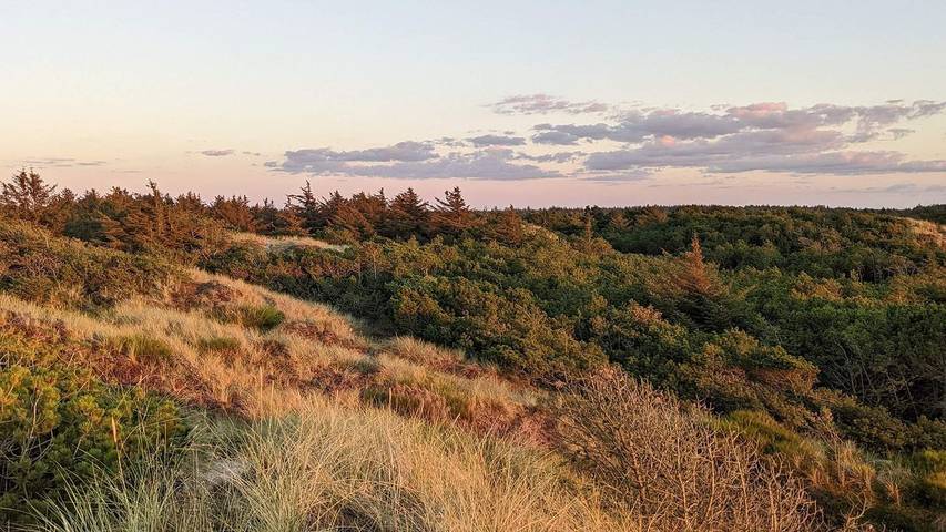 Ferienhaus für 6 Personen, mit Terrasse, mit Haustier in Vejers Strand - 3