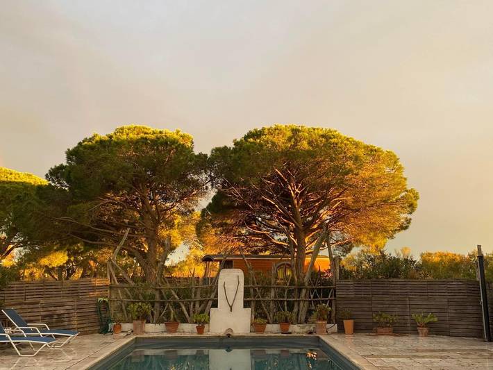 Chambre d’hôte pour 2 personnes, avec piscine et jardin dans les Bouches-du-Rhône - 2
