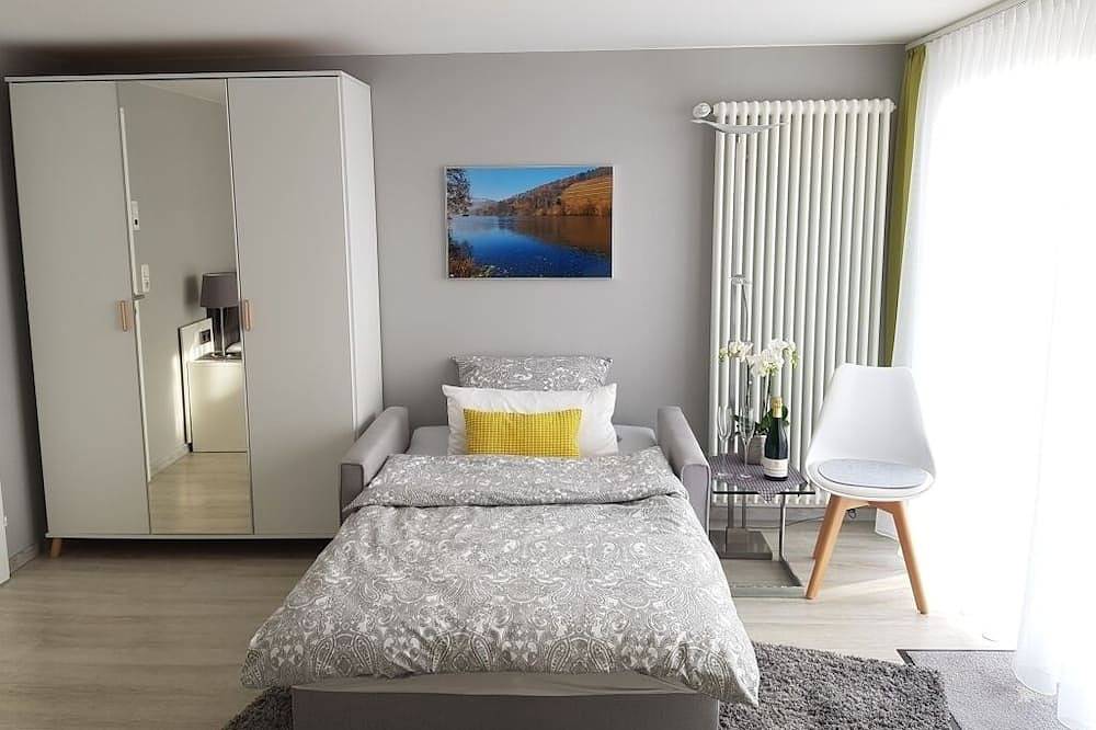 Ganze Wohnung, Modernes Apartment (28 qm) mit Terrasse in Bürgstadt, Fränkisches Weinland