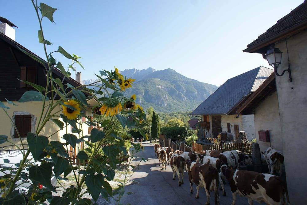 Wunderschönes umgebautes Bauernhaus in der Nähe des Lac d'Annecy und der Berge in Giez, Parc naturel régional du Massif des Bauges