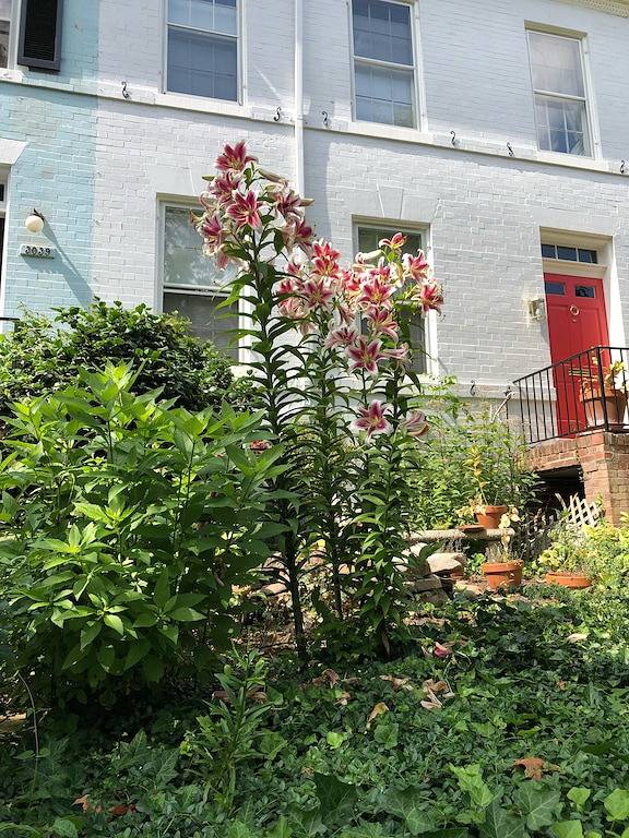 Elegantes East Village Townhome in einer ruhigen Straße in Washington D.C., District of Columbia