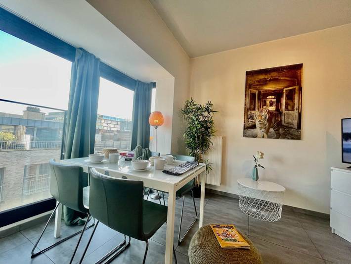 Ferienwohnung für 3 Personen, mit Haustier in Antwerpen - 2