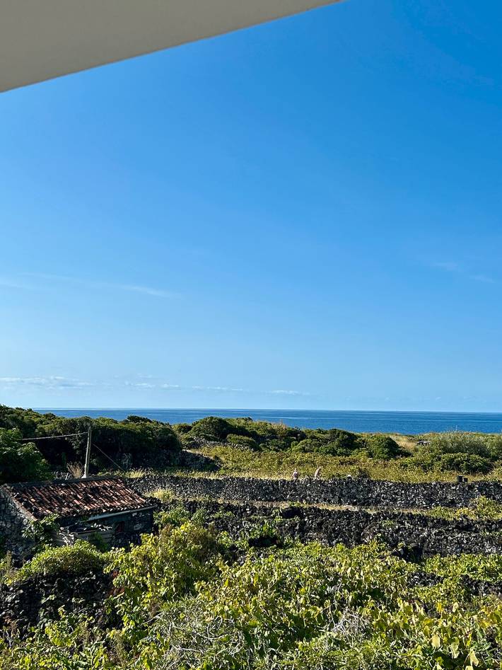 Ferienhaus für 2 Personen, mit Garten auf Pico (Azoren) - 3
