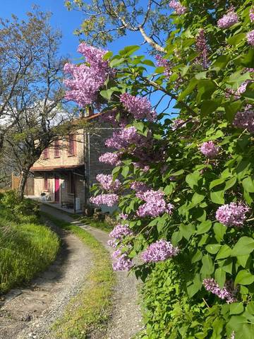 Cottage pour 2 personnes, avec terrasse ainsi que vue et jardin, animaux acceptés à Berceto