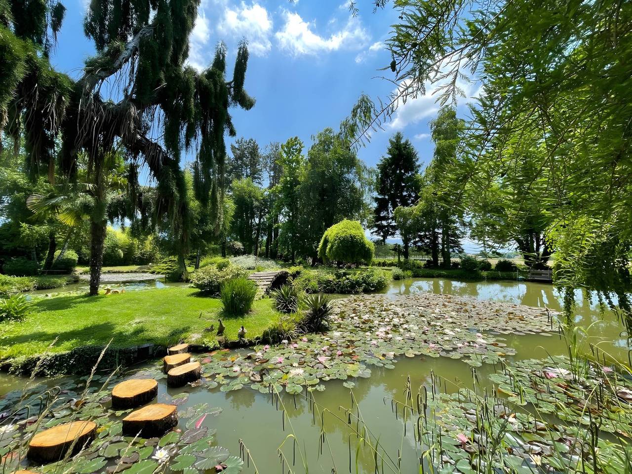 Gîte 4 personnes - La fontaine des Rollands - piscine chauffée - parc d'exception au pied du Vercors in Saint-Vérand, Isère