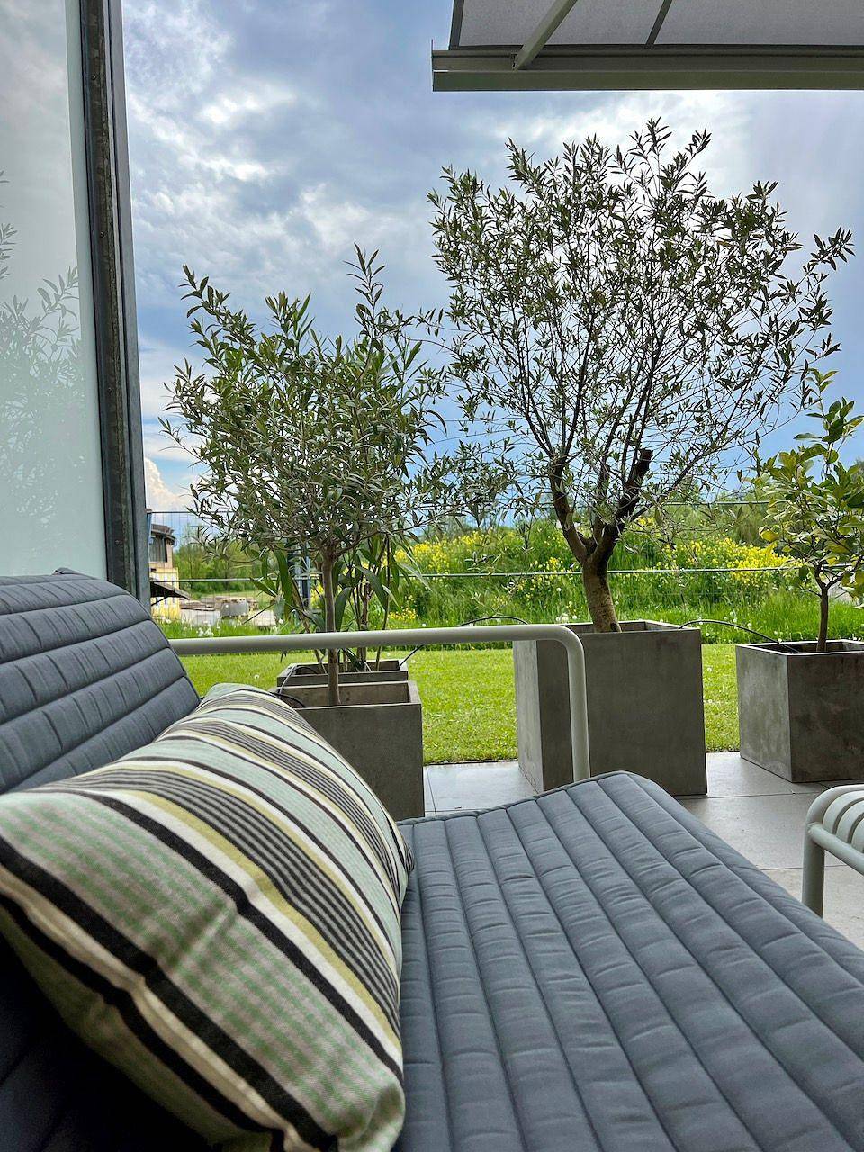 Ganze Ferienwohnung, Ferienwohnung, große Terrasse, Ausblick ins Grün in Friedrichshafen, Region Bodensee-Oberschwaben