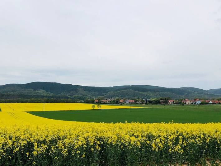 Ferienwohnung für 4 Personen, mit Garten in Uhlstädt-Kirchhasel - 4