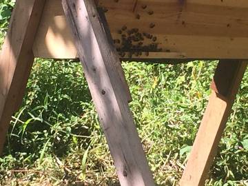 Vacation Home for 3 Guests in Kalapana, Island of Hawaii, Picture 1