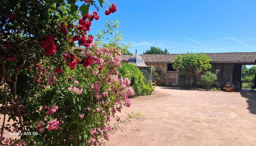 Location de vacances pour 6 personnes, avec Terrasse et Vue dans Saint-André-d'Huiriat