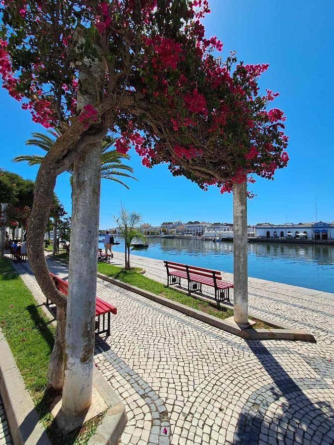 Double Room with Balcony in Tavira (Santiago), Tavira (Santa Maria e Santiago)