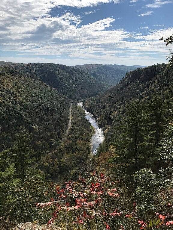Kojote Hütte am unberührten Pine Creek! in Tioga County