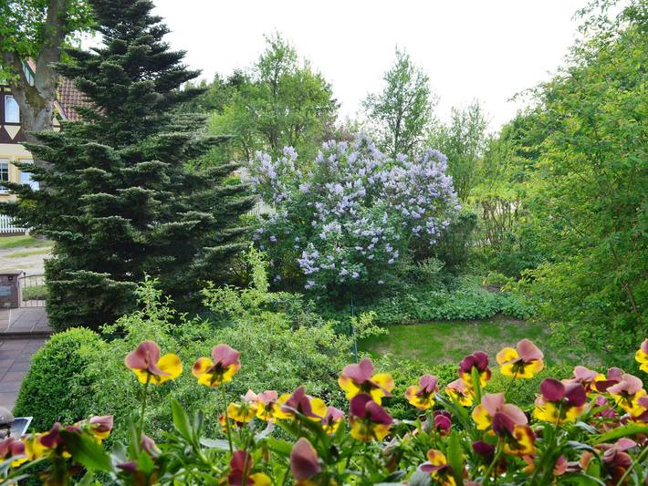 Ferienwohnung für 3 Personen, mit Balkon in Bad Bevensen - 4