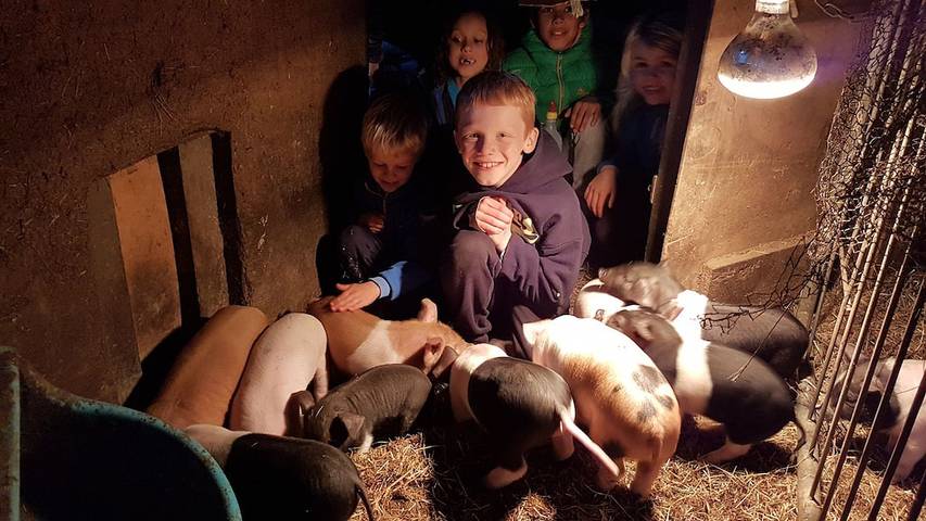 Holiday home for 6 people, with hot tub and garden as well as terrace, with pets in Rotorua