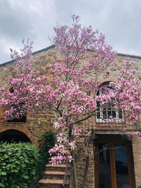 Chambre d’hôte pour 2 personnes, avec vue et jardin à Greve In Chianti - 4