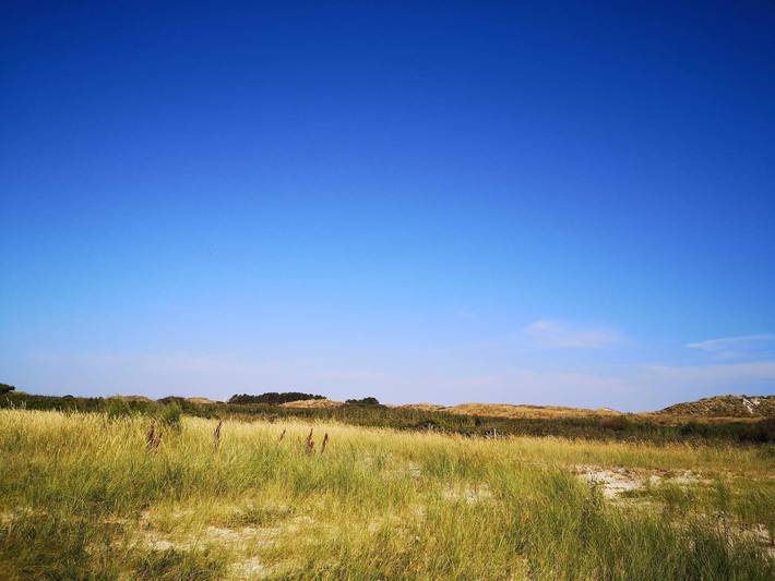 Ferienhaus für 18 Personen, mit Terrasse und Whirlpool sowie Sauna und Pool, mit Haustier auf Fanø - 3
