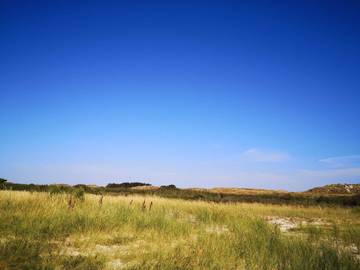 Ferieudlejning til 18 Personer i Sønderho, Fanø, Billede 2