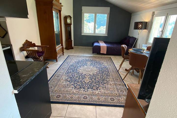 Gîte pour 4 personnes, animaux acceptés à Bienne - 4