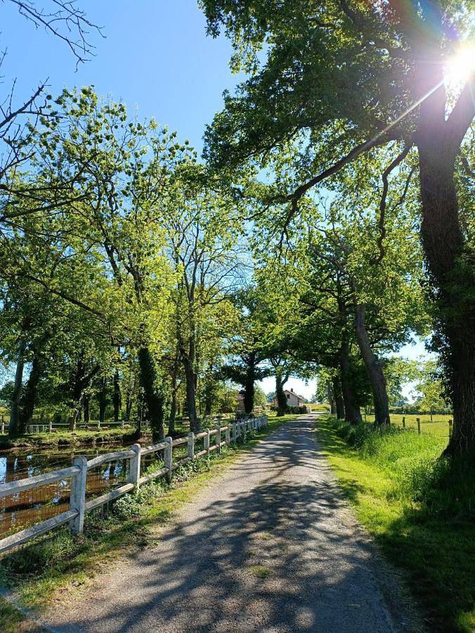 Location de vacances pour 7 personnes, avec Jacuzzi et Terrasse ainsi que Jardin et Sauna à Chazemais - 3