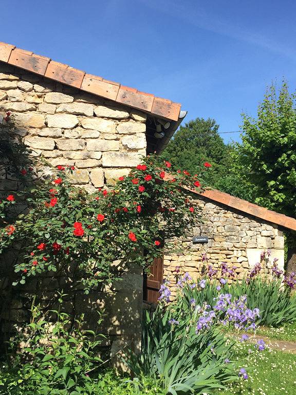 Gîte pour 5 personnes, avec terrasse et jardin à Montamisé - 2