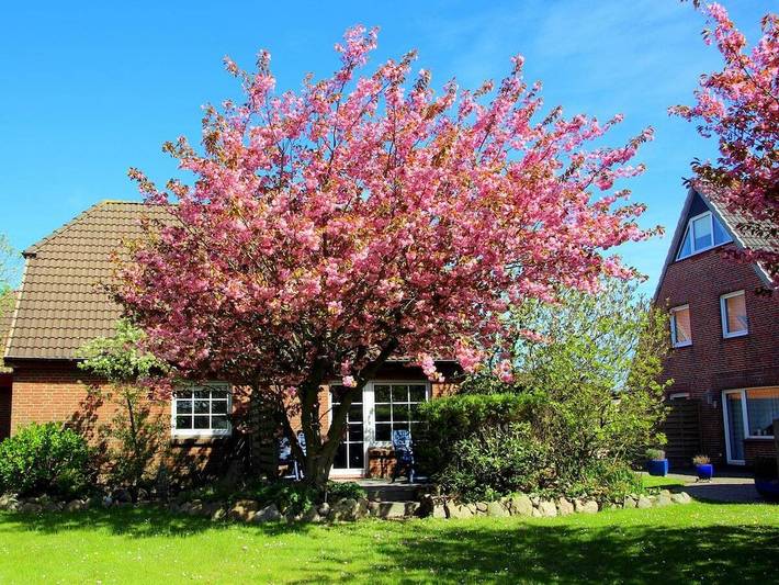 Ferienwohnung in Sylt mit 2 Schlafzimmer in Westerland, Sylt (Gemeinde)
