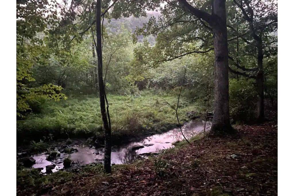 Peaceful 2 bedroom cottage in Lost River w/ stream in Seneca Rocks