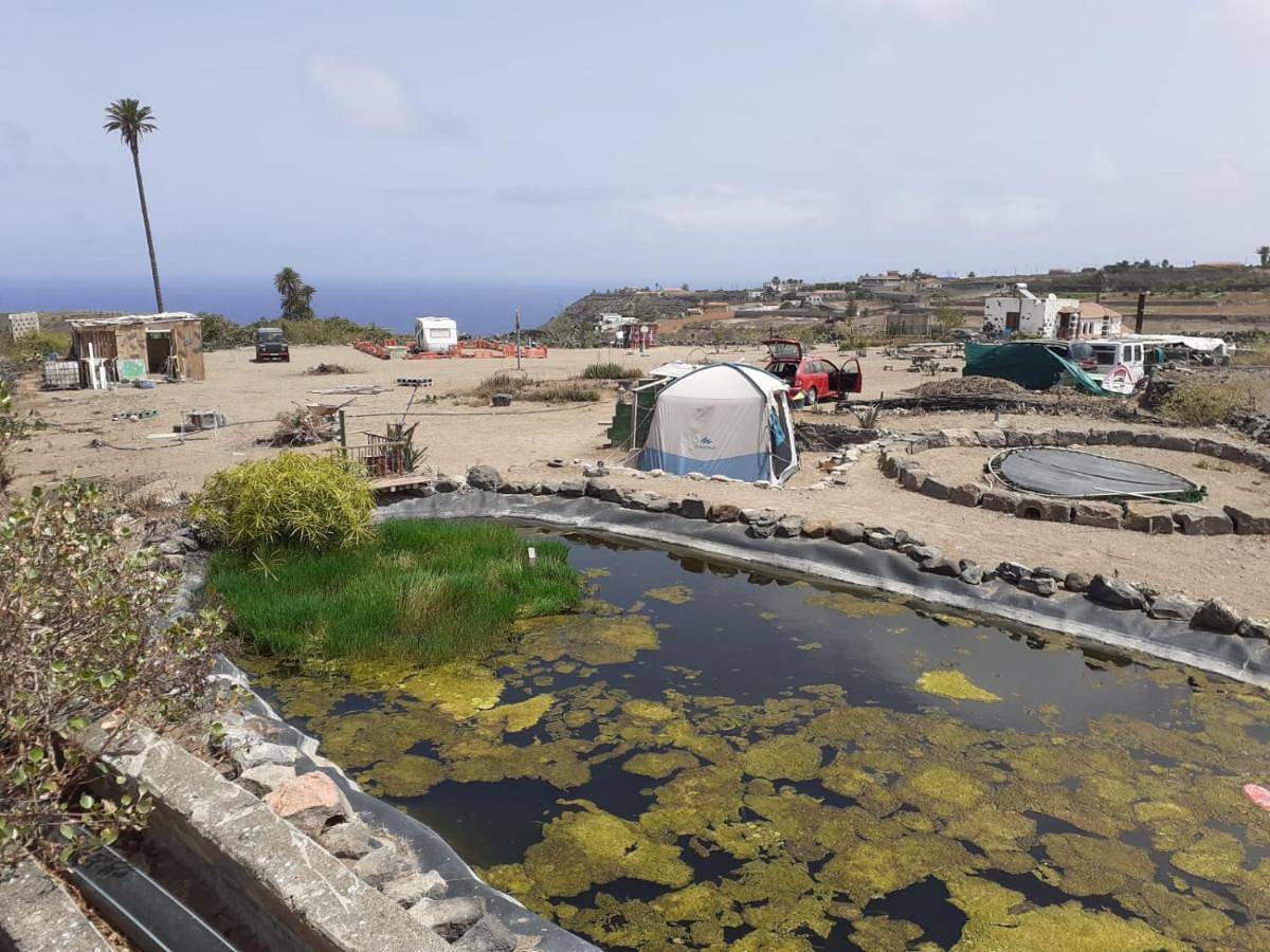 Tent in Firgas, Gran Canaria Norte