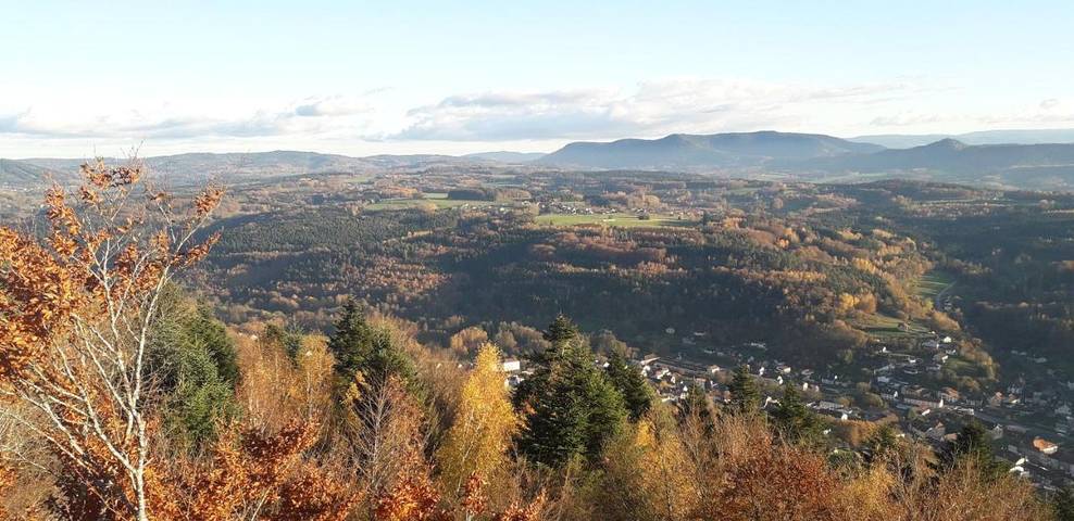 Gîte pour 4 personnes, avec terrasse et jardin à Étival-Clairefontaine - 3