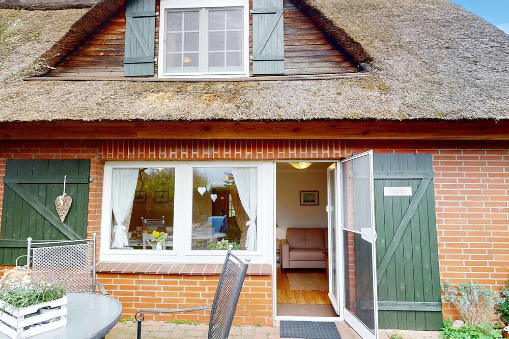Ferienhaus \"Vier Pfoten Gollendorf\" für 5 Gäste und Hund mit Garten - Strandnah in Westfehmarn, Fehmarn