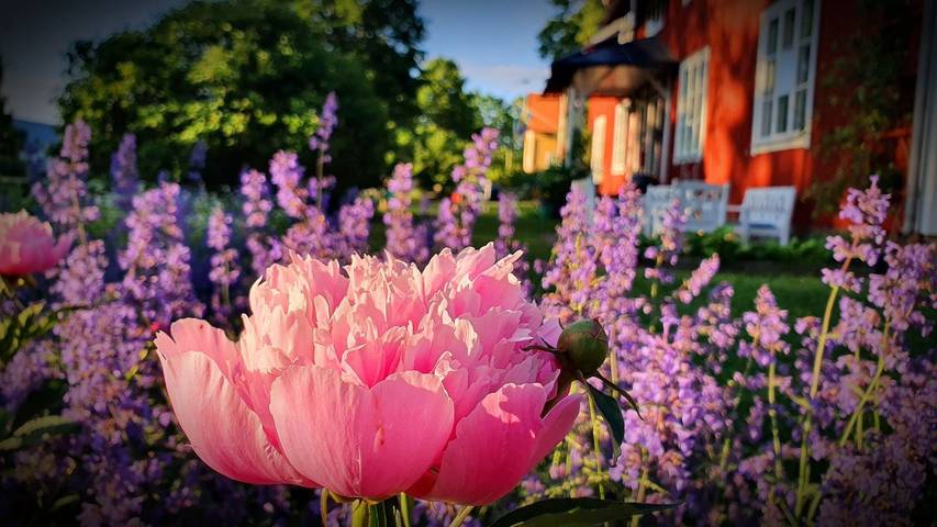 Gîte pour 5 personnes, avec jardin et vue dans Uppsala - 3